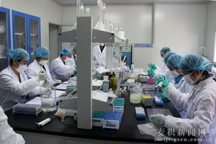 天水市舉辦縣級(jí)獸醫(yī)實(shí)驗(yàn)室檢測技術(shù)培訓(xùn)班，提升技術(shù)服務(wù)能力